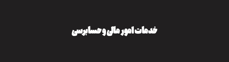 خدمات امور مالی و حسابرسی شرکت رفاه گستران رهیافت